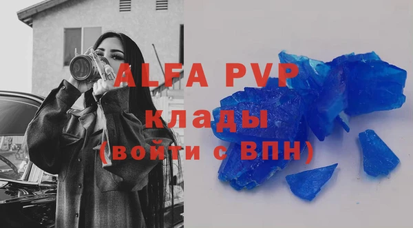 хмурый Арсеньев