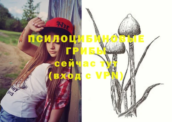 хмурый Арсеньев