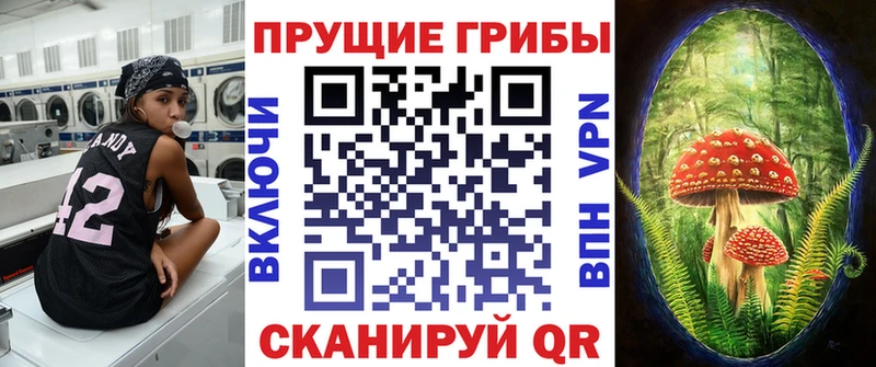 Купить  Балабаново  Псилоцибиновые грибы Psilocybe 